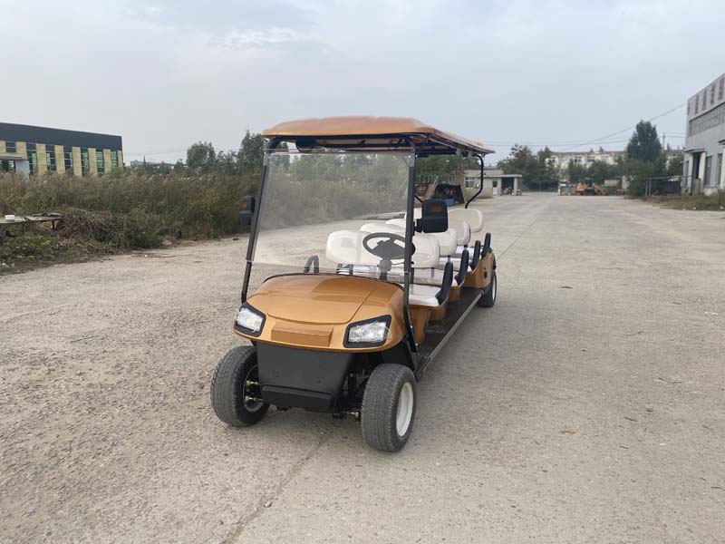 2022 Golden Electric Golf Cart