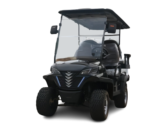 Black Electric Golf Car