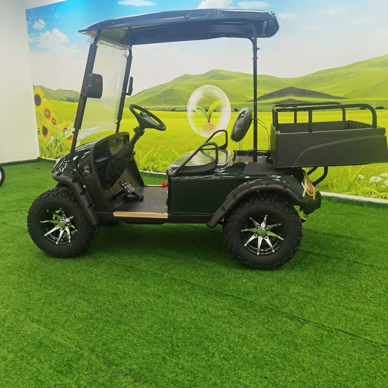 Golf Cart With Carriage