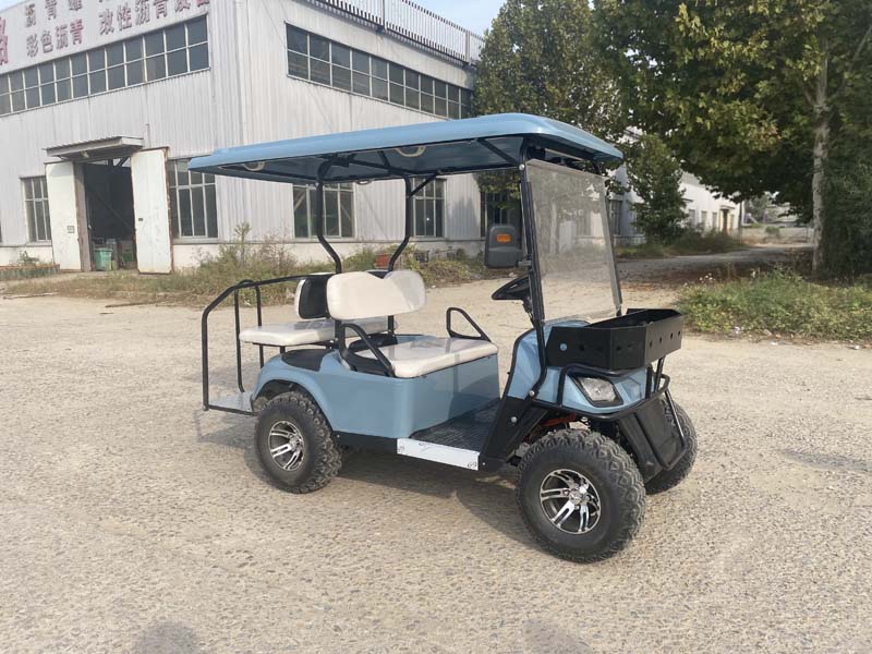 2+2 Seats Electric Golf Cart