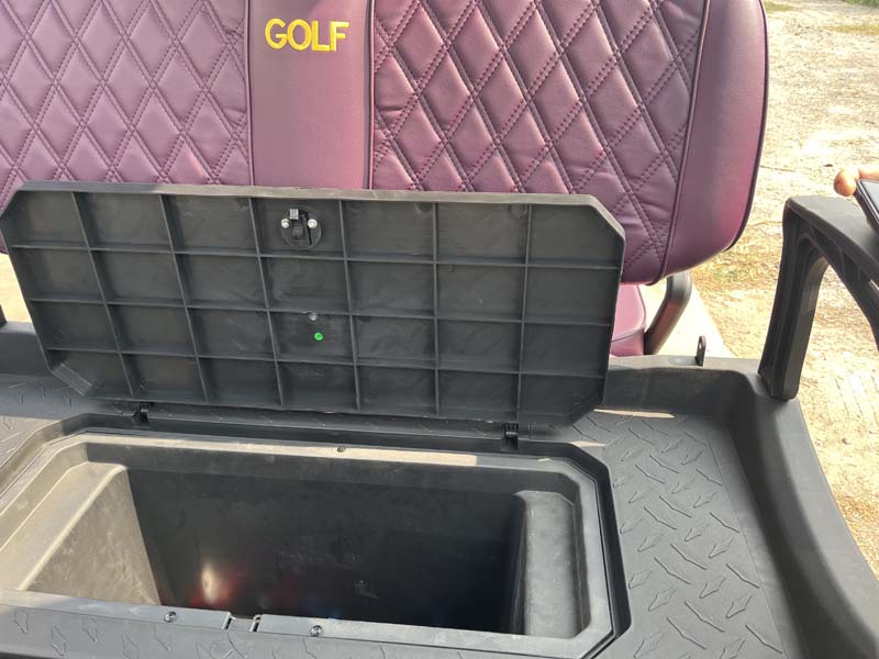 Electric automobile vehicles