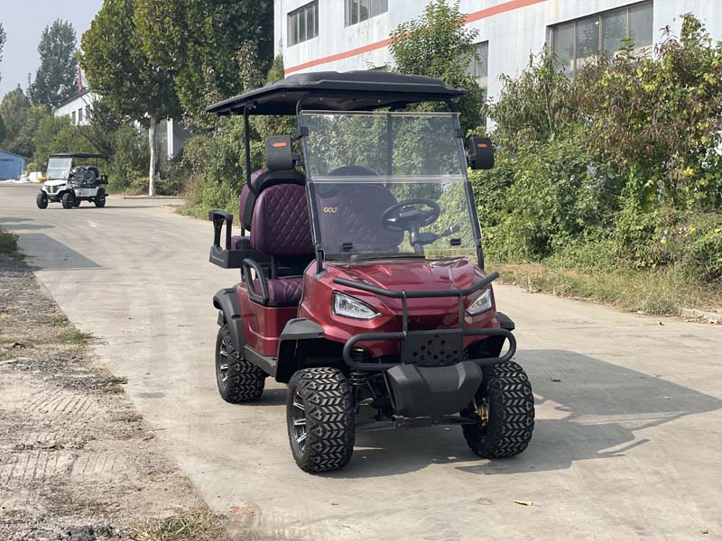 Electric Golf Vehicle