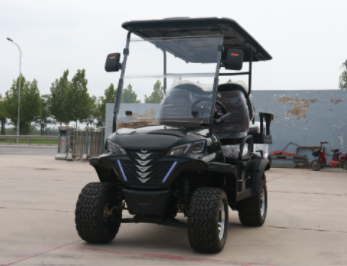 Luxury Electric Golf Cart