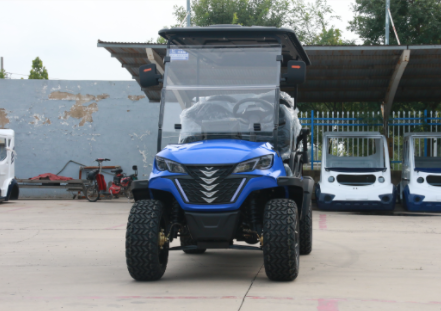 6 Seats Golf Cart