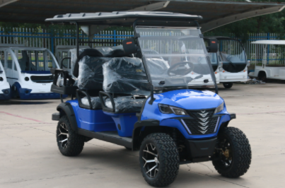 6 Seats Golf Cart