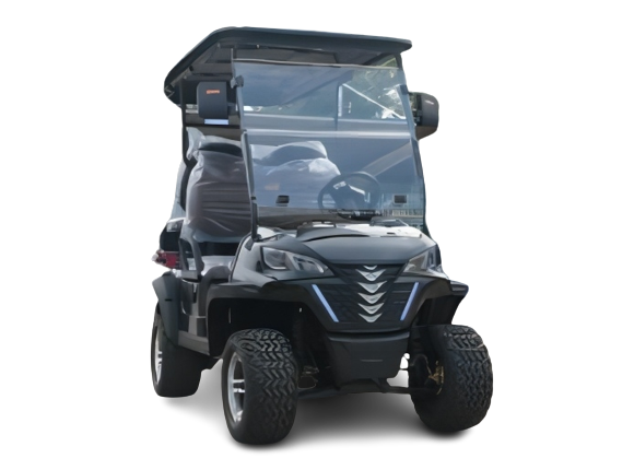 Black Electric Golf Car