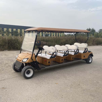Golden Electric Golf Cart
