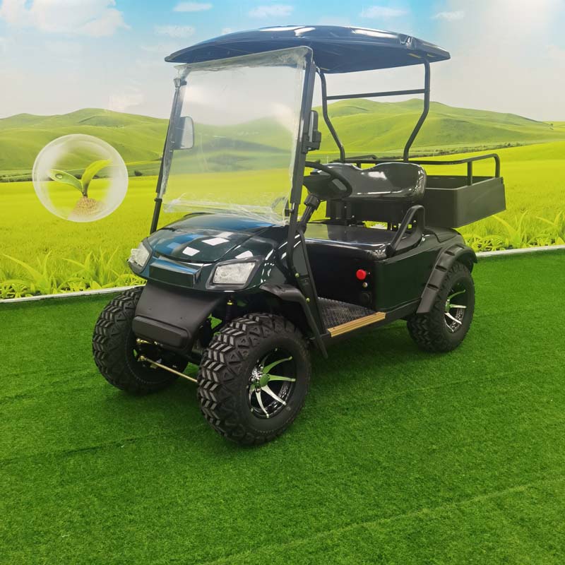 Golf Cart With Carriage