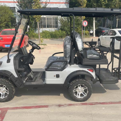 Gray Battery acated Golf Cart