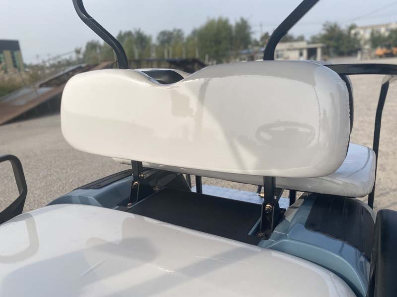 2022 Electric Golf Cart