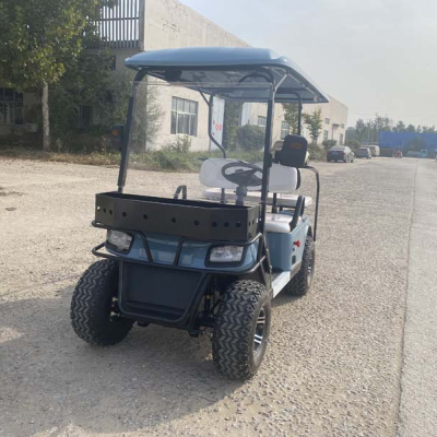 Blue Electric Golf Cart