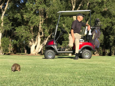 พันธมิตรสนามกอล์ฟเซาท์เลค