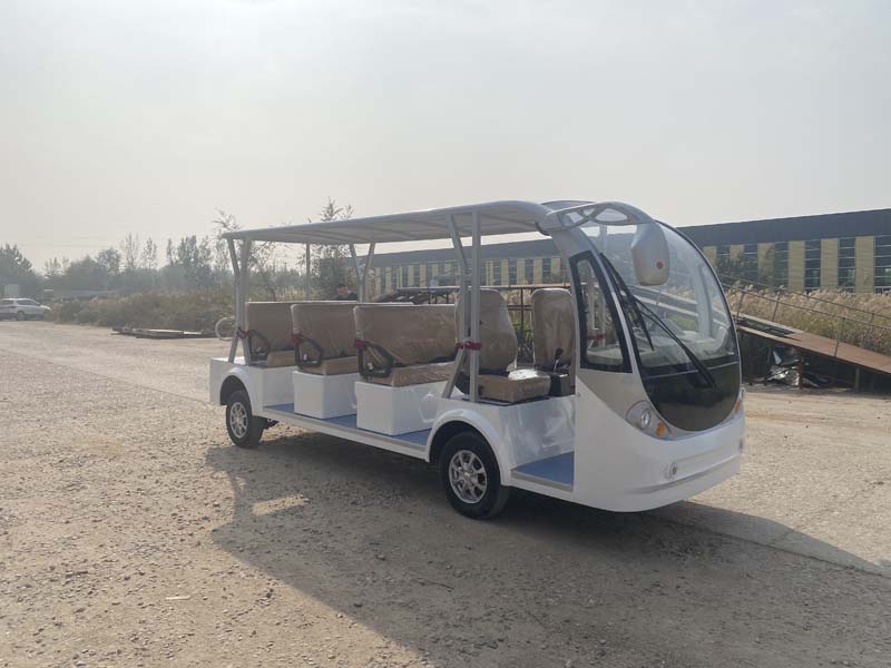 11 Seats Classic  Electric Sightseeing Car