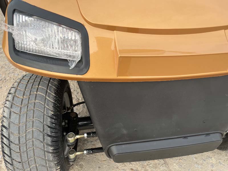 Golden Electric Golf Cart