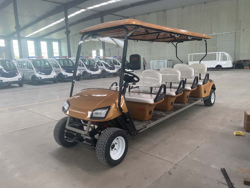 Golden Electric Golf Cart
