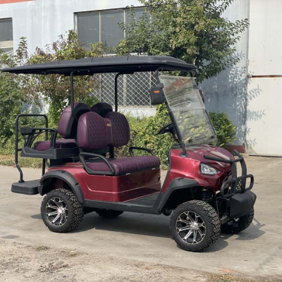 Electric automobile vehicles