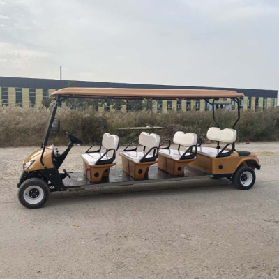 Golden Electric Golf Cart