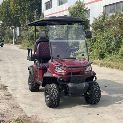 Luxury Electric Golf Cart