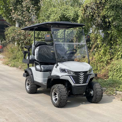 Smart Screen Electric Golf Cart