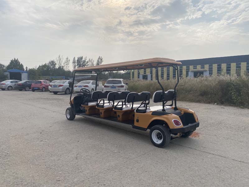 Golden Electric Golf Cart