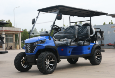 6 Seats Golf Cart