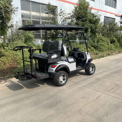 2023 Electric Golf Cart