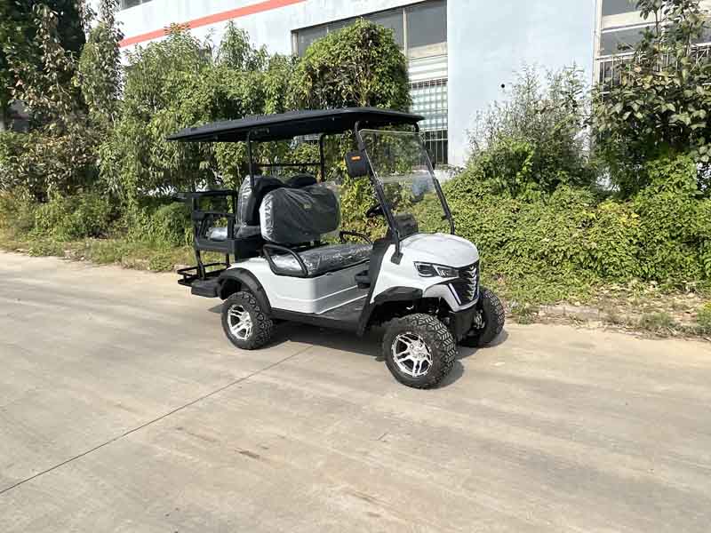 2023 Electric Golf Cart