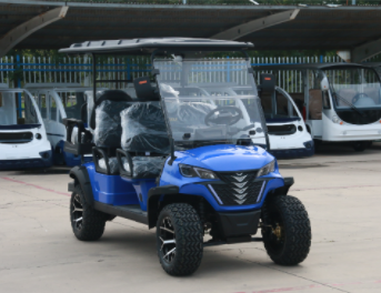 6 Seats Golf Cart