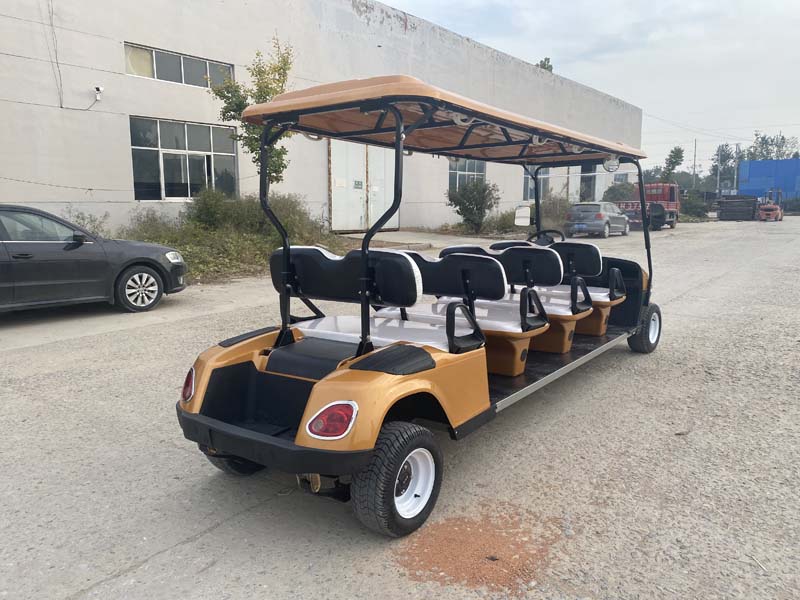2022 Golden Electric Golf Cart