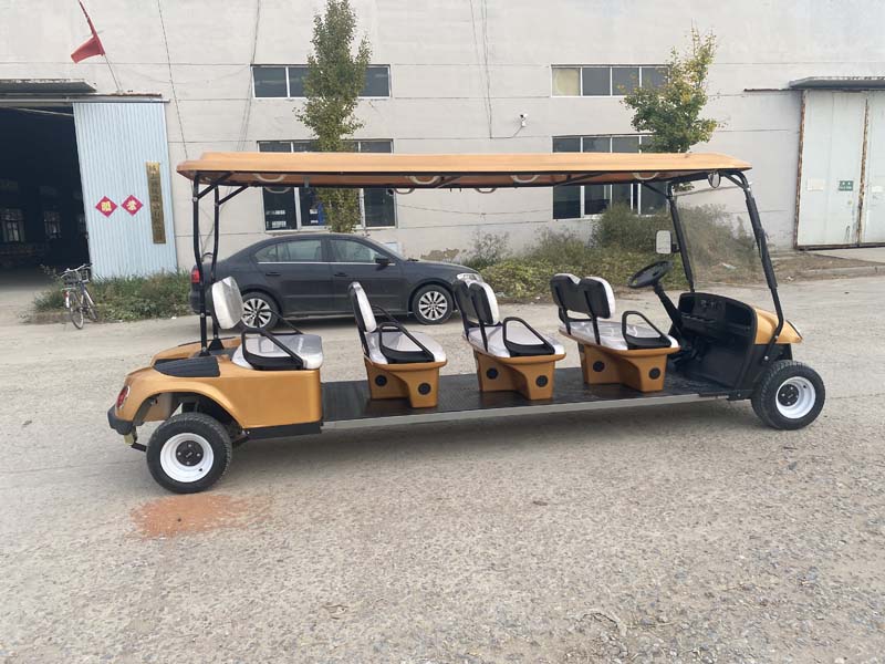 2022 Golden Electric Golf Cart